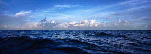 Michael Berman Photography
